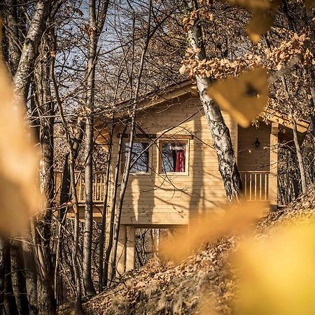 Il Nido Del Casalot Villa Frassino Bagian luar foto